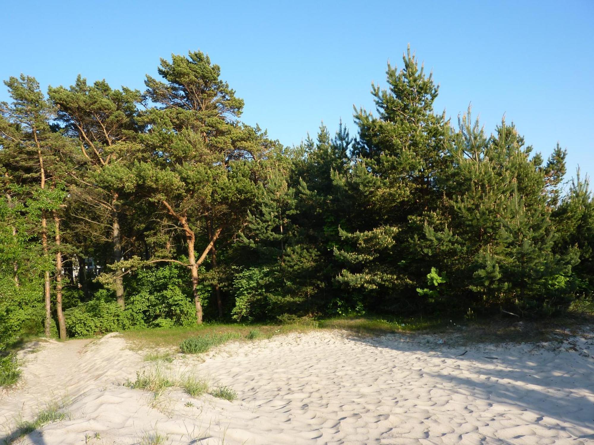 Palangos Apartamentai - Bangu Palanga Buitenkant foto